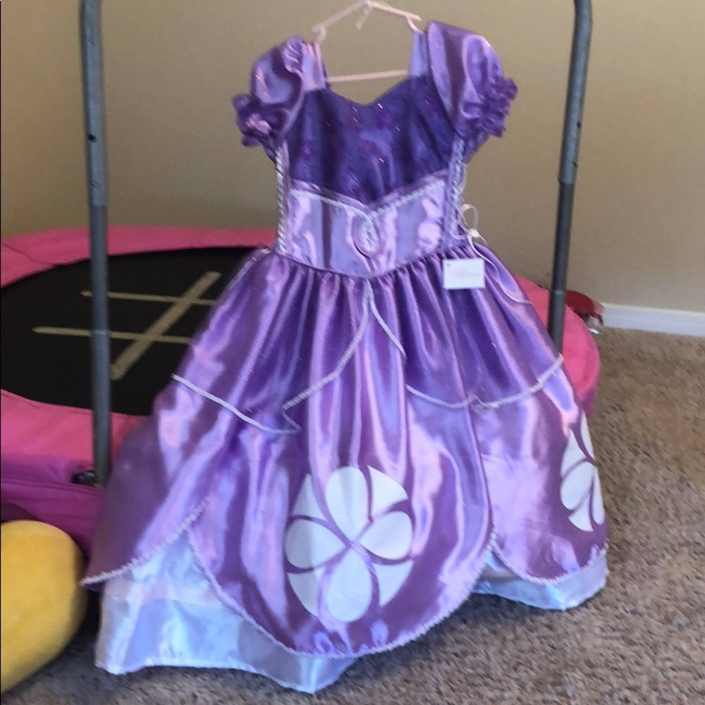 Beautiful Sophia Ballgown